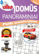 Žurnalas „ID13 oho 10 min. Įdomūs panoraminiai“ Nr. 11 viršelis